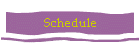 Schedule