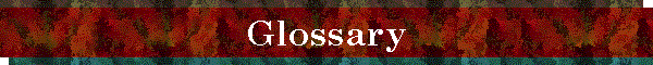 Glossary