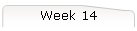 Week 14