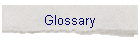 Glossary