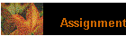Assignment
