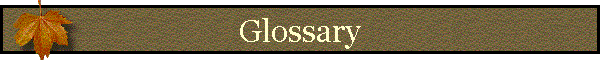 Glossary