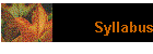 Syllabus