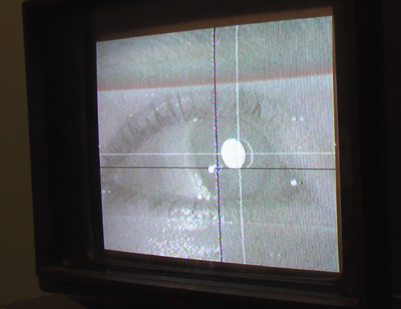 picture of close-up of eye with eye tracker cross hairs visible