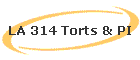 LA 314 Torts & PI