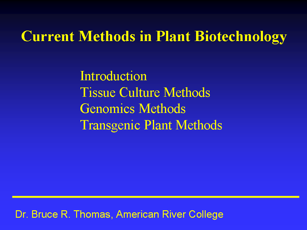 Image of Slide 1