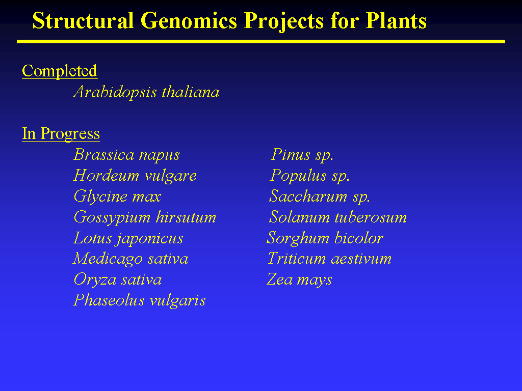 Image of Slide 10