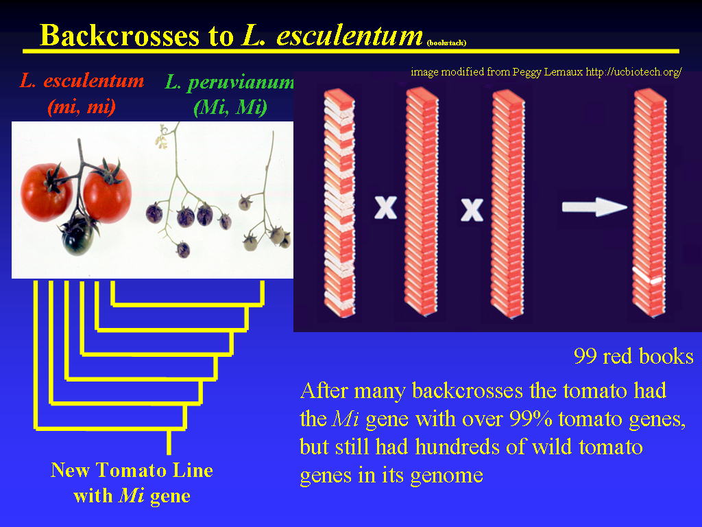 Image of Slide 15