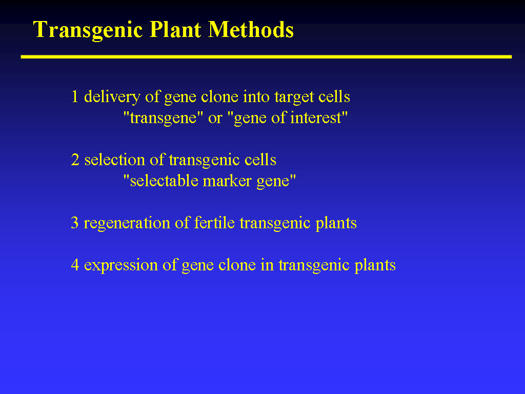 Image of Slide 23