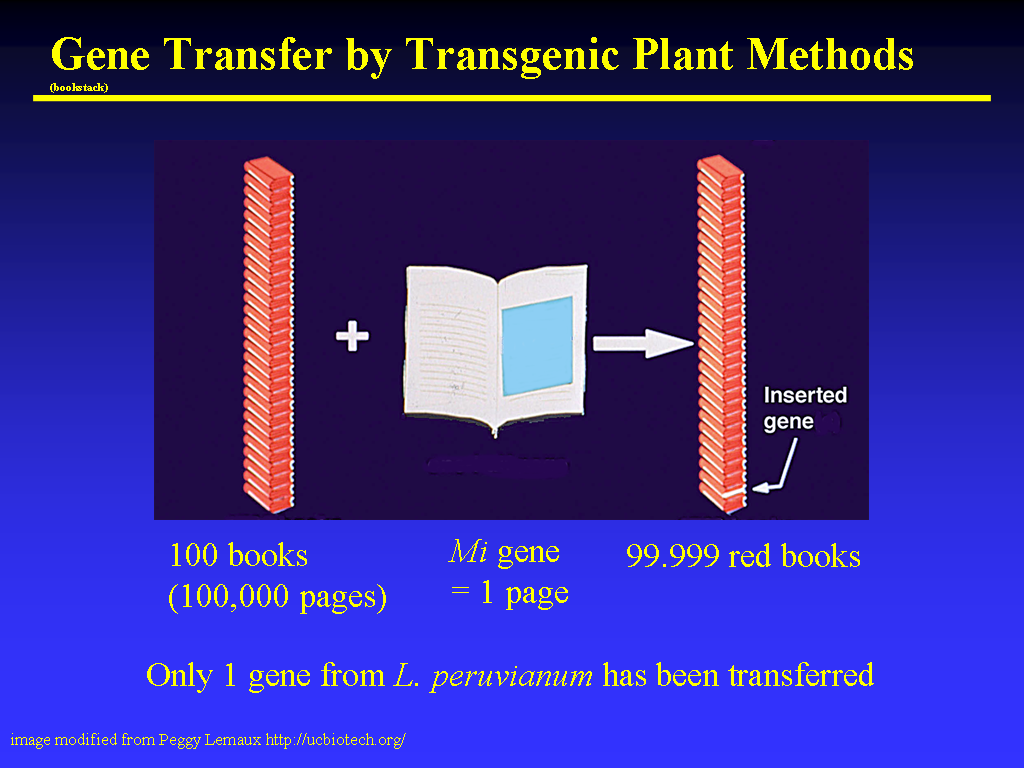 Image of Slide 24