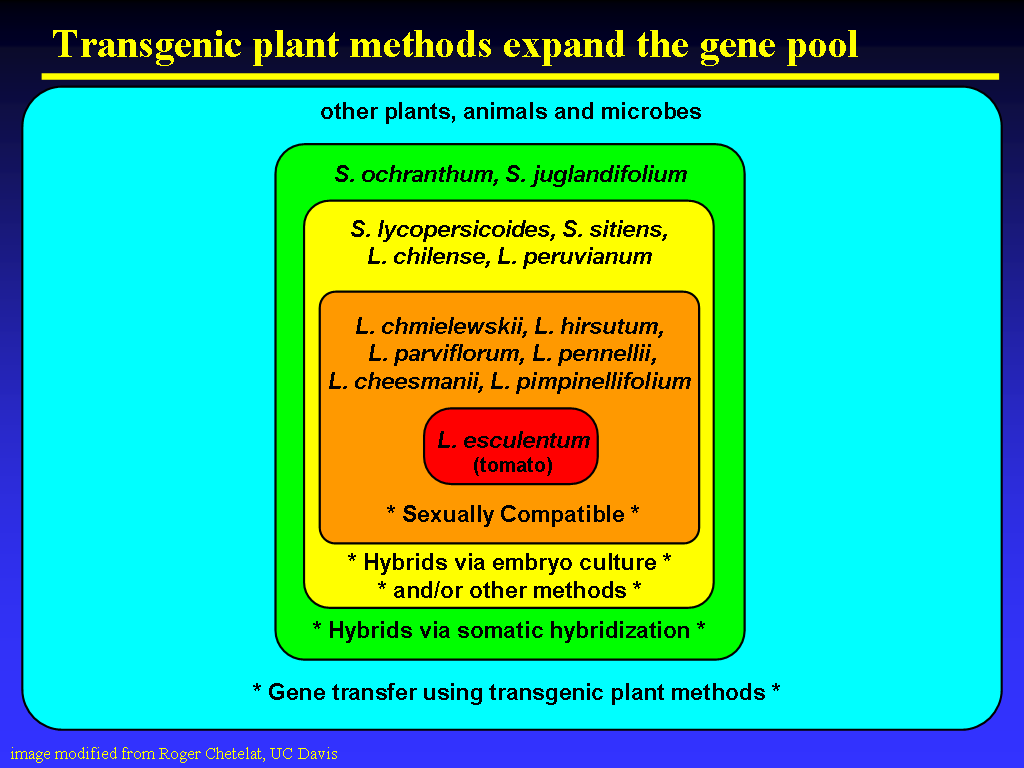 Image of Slide 25