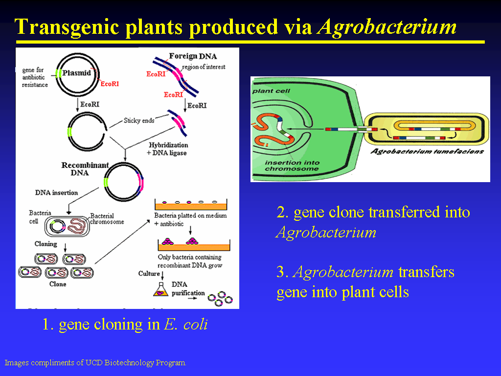 Image of Slide 27