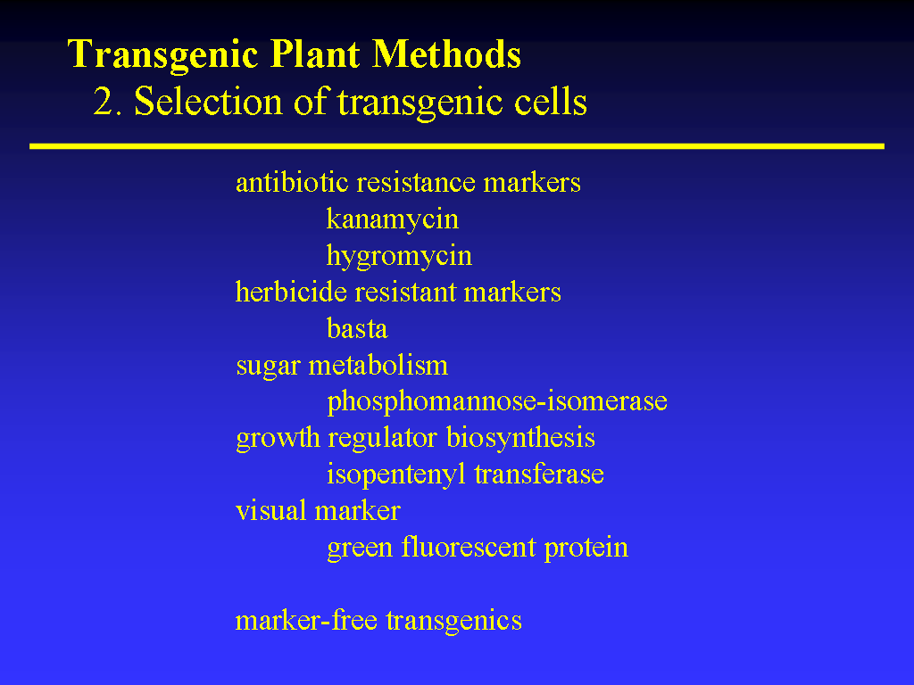 Image of Slide 33