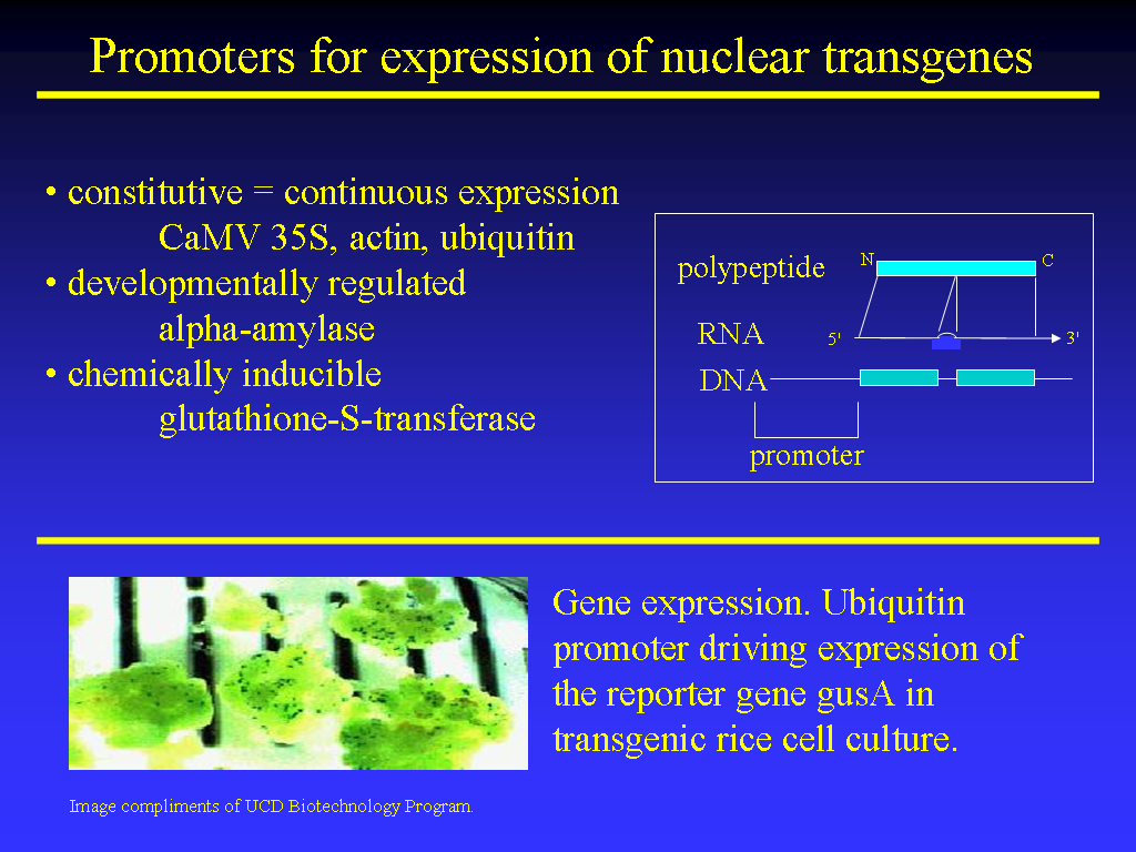 Image of Slide 36