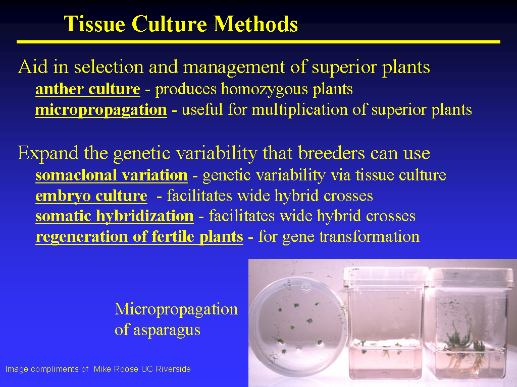 Image of Slide 6