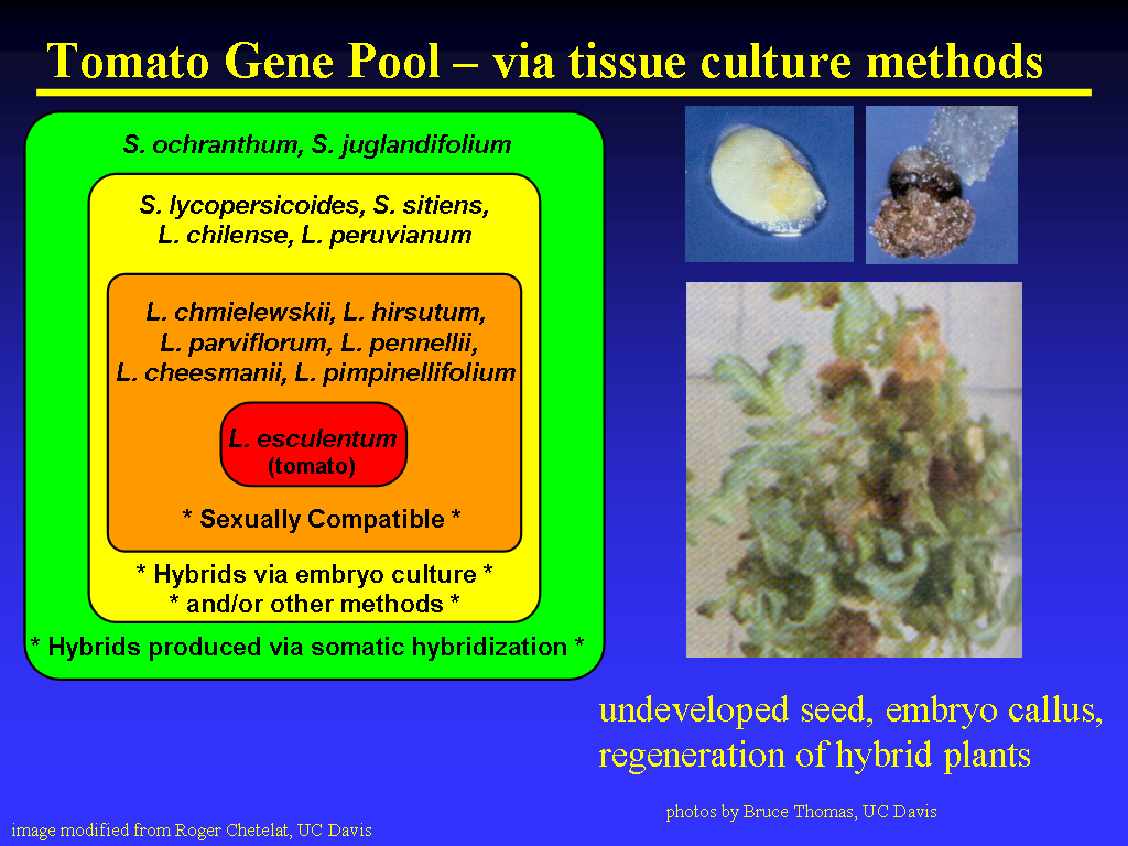 Image of Slide 7