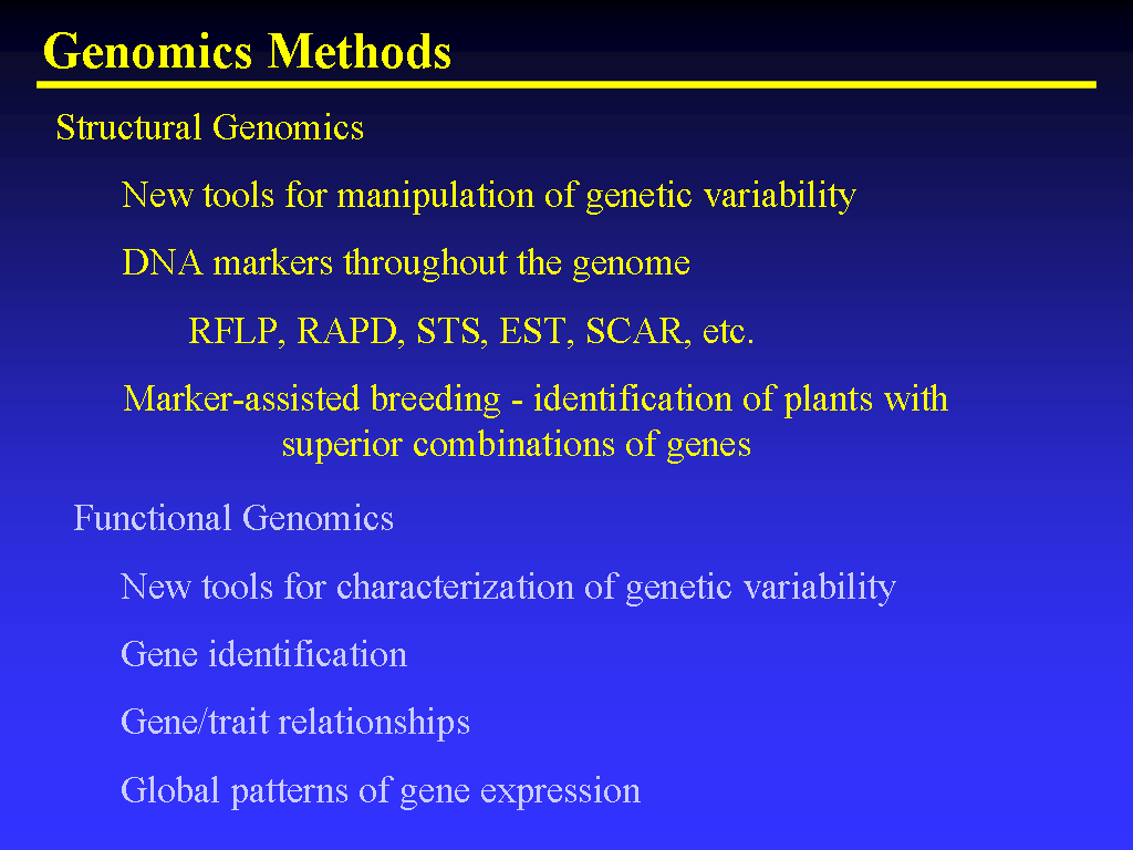 Image of Slide 8