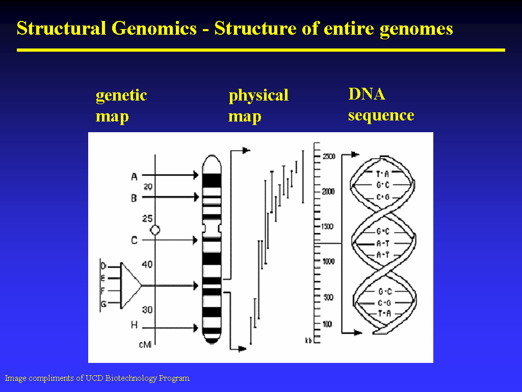 Image of Slide 9