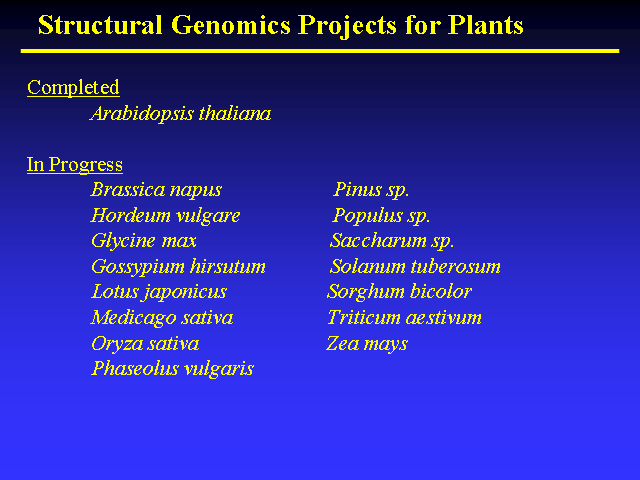 Image of Slide 10