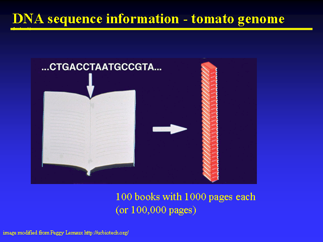 Image of Slide 13