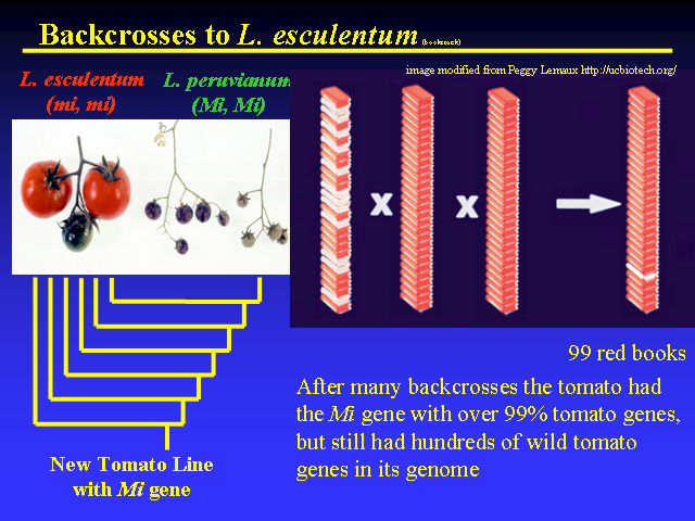 Image of Slide 15