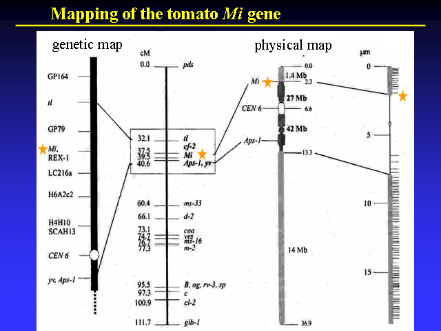 Image of Slide 16