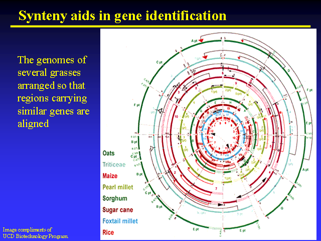 Image of Slide 18