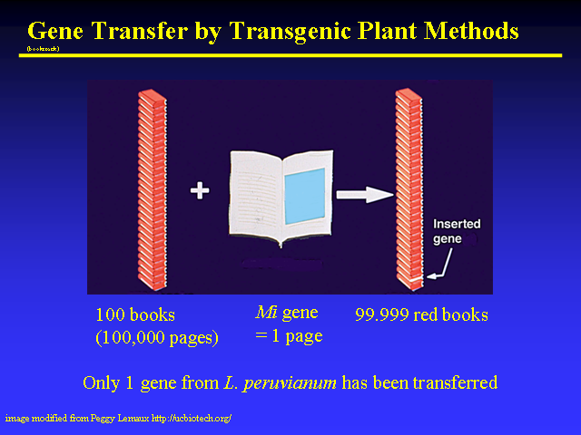 Image of Slide 24