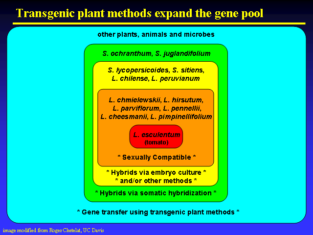 Image of Slide 25