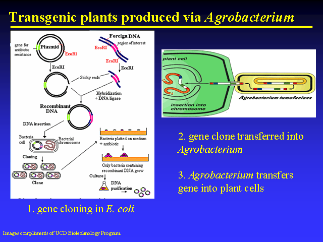 Image of Slide 27