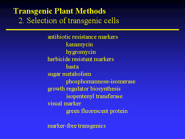 Image of Slide 33