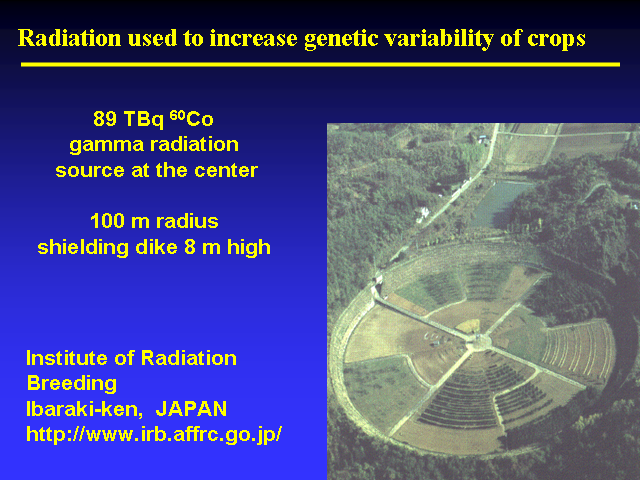 Image of Slide 4