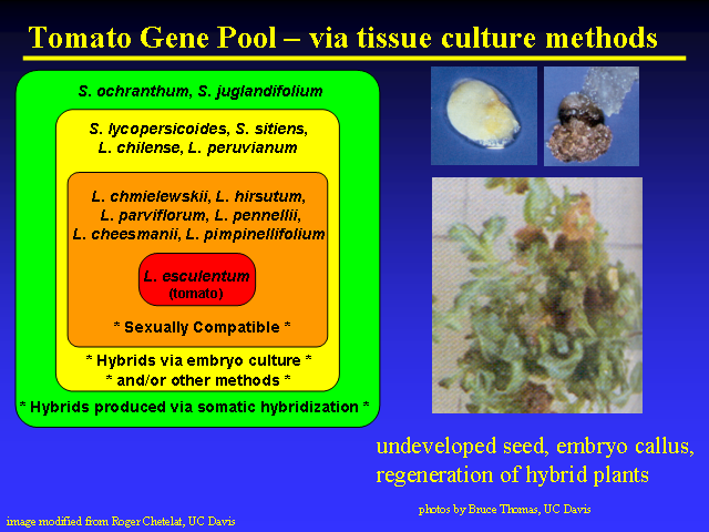 Image of Slide 7