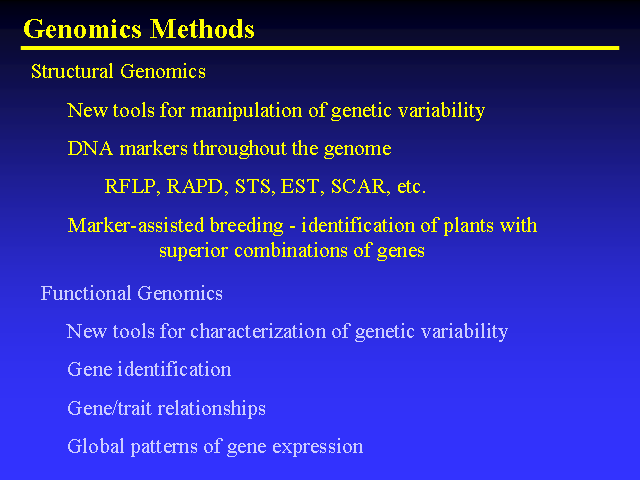 Image of Slide 8