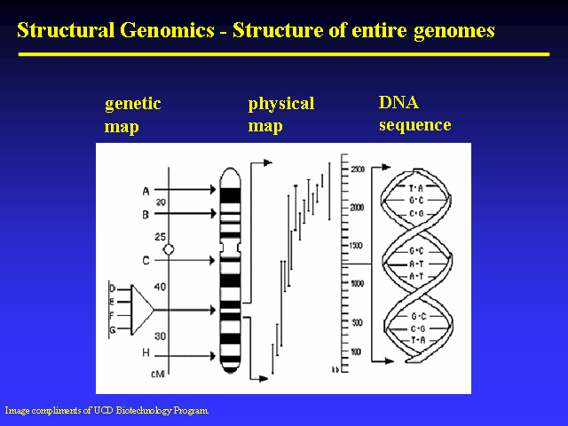 Image of Slide 9