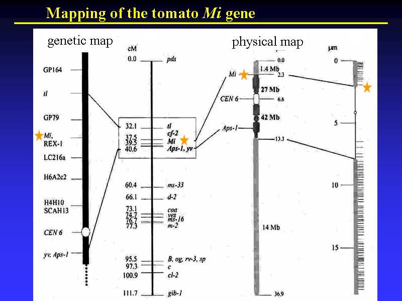 Image of Slide 16