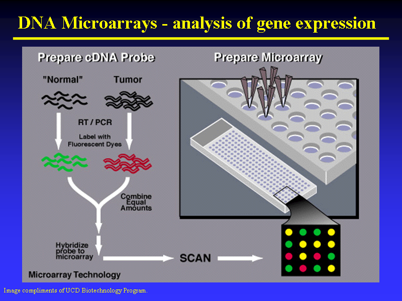 Image of Slide 20