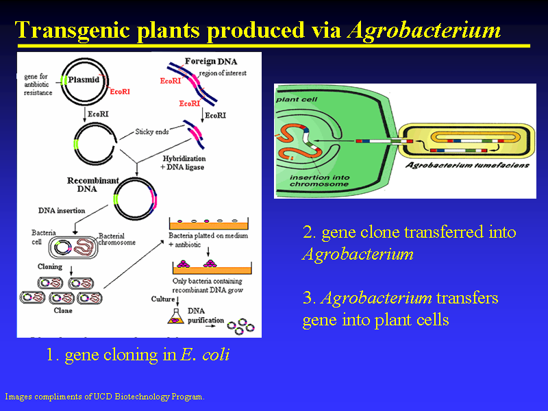 Image of Slide 27