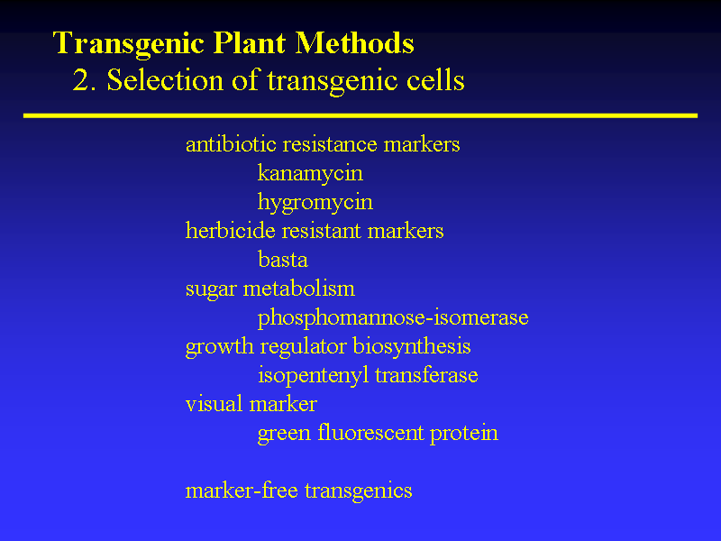 Image of Slide 33