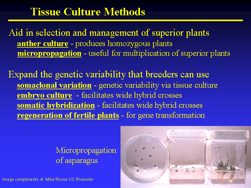 Image of Slide 6