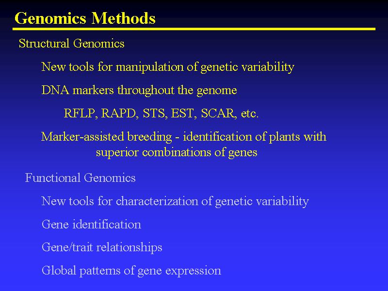 Image of Slide 8