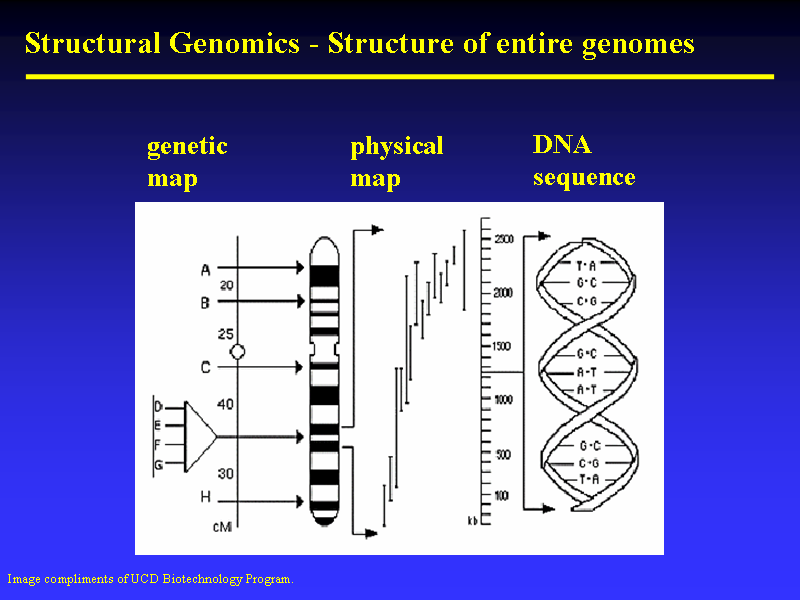 Image of Slide 9