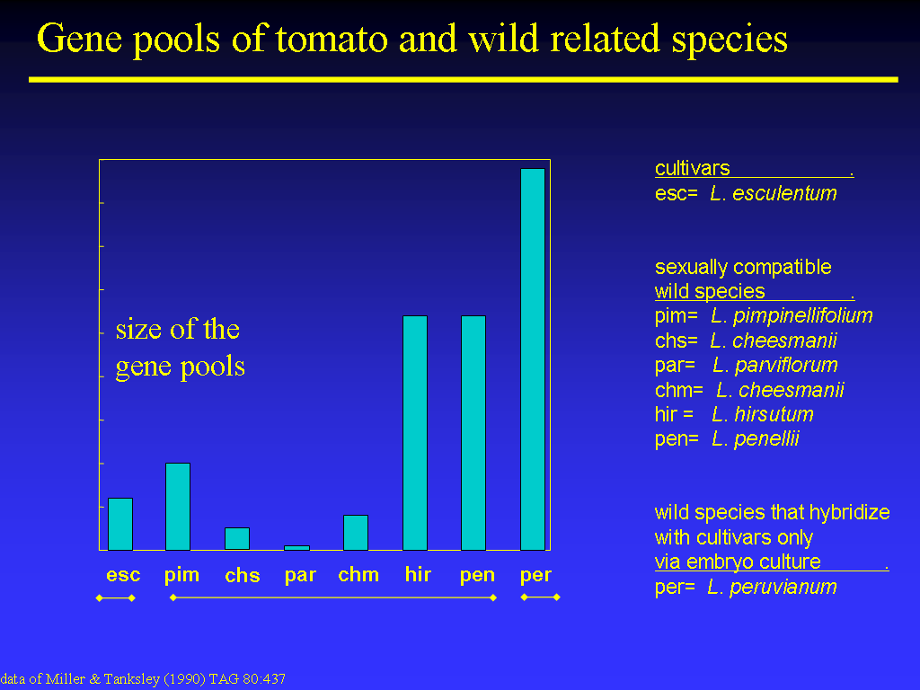 Image of Slide 10