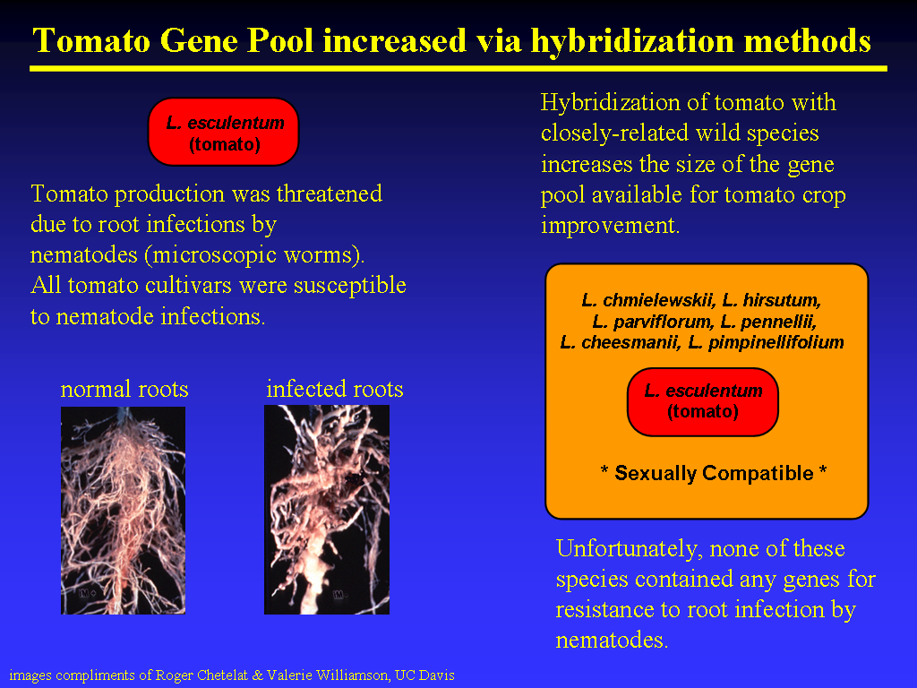 Image of Slide 11