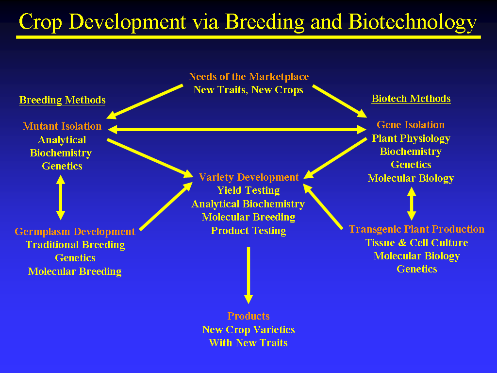 Image of Slide 14