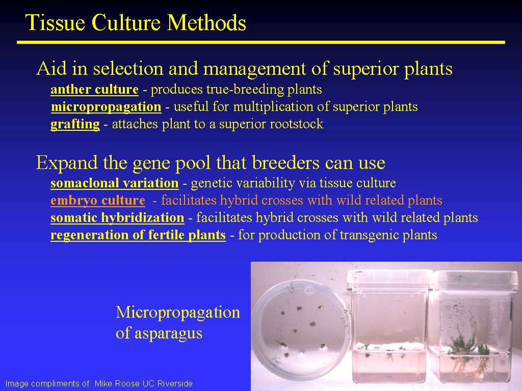 Image of Slide 19