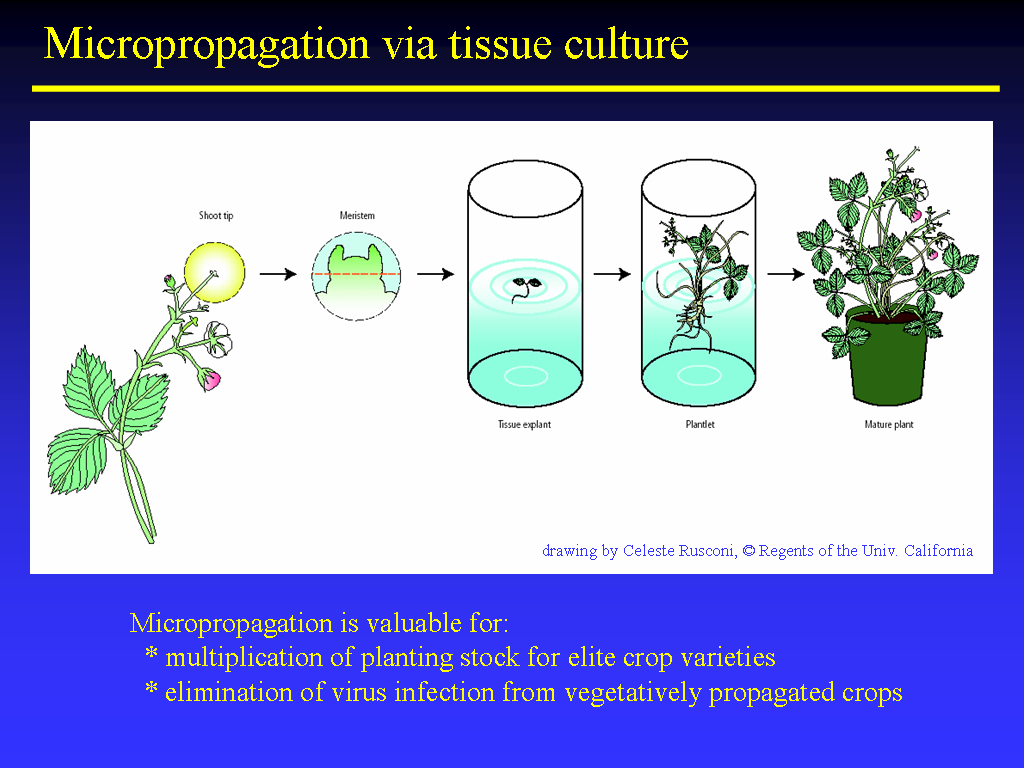 Image of Slide 20