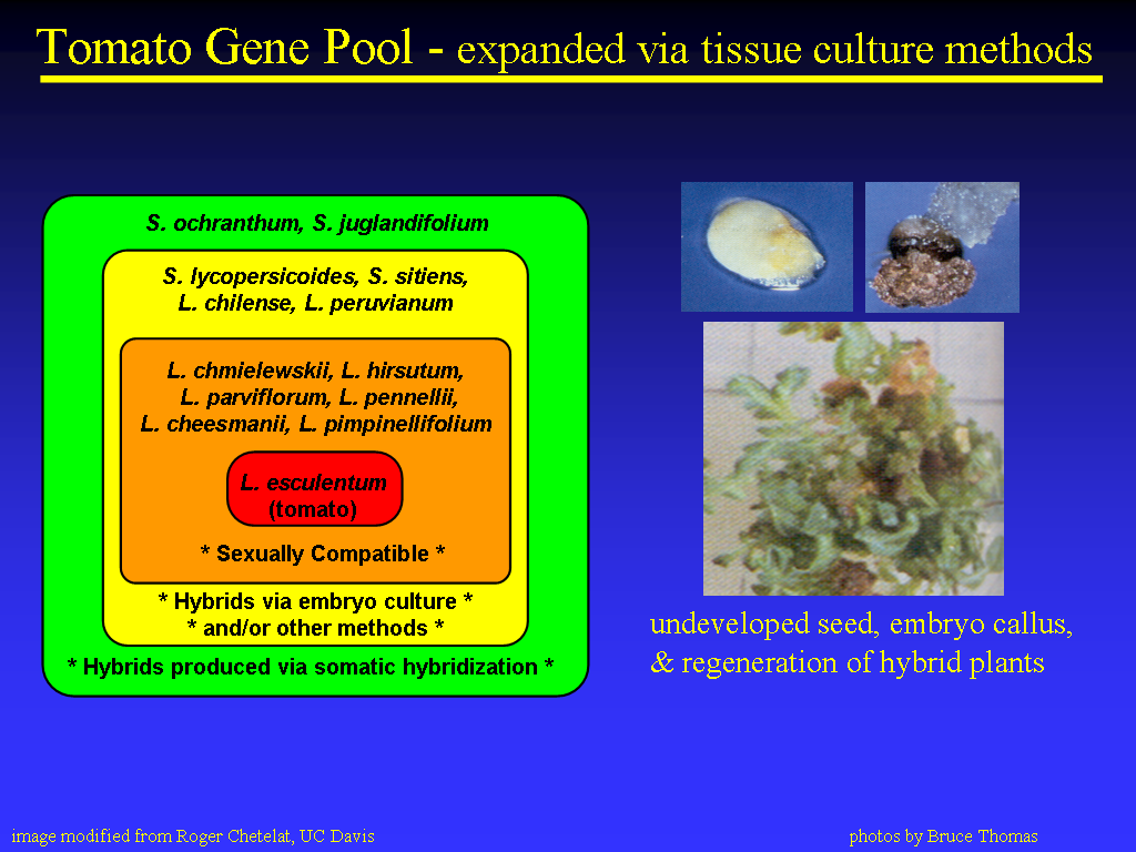 Image of Slide 22