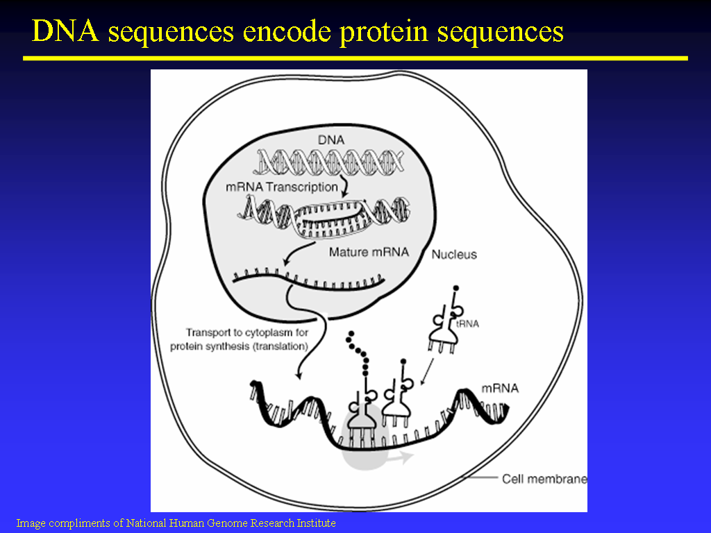 Image of Slide 27