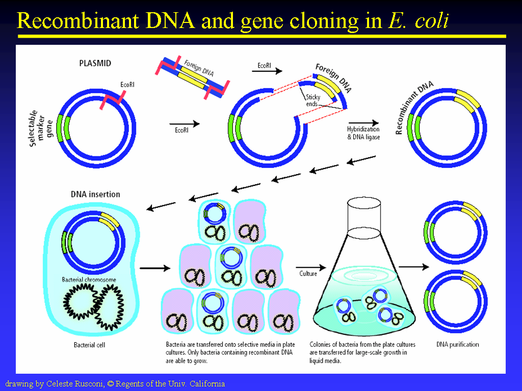 Image of Slide 28